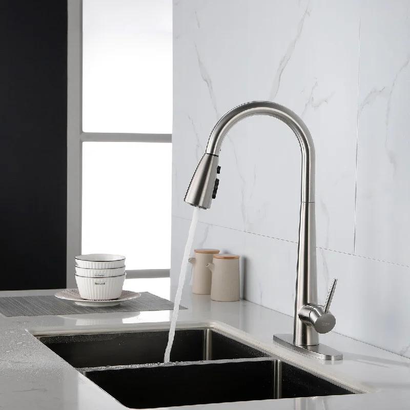 Beatriz Kitchen Faucet with Pull Down Sprayer