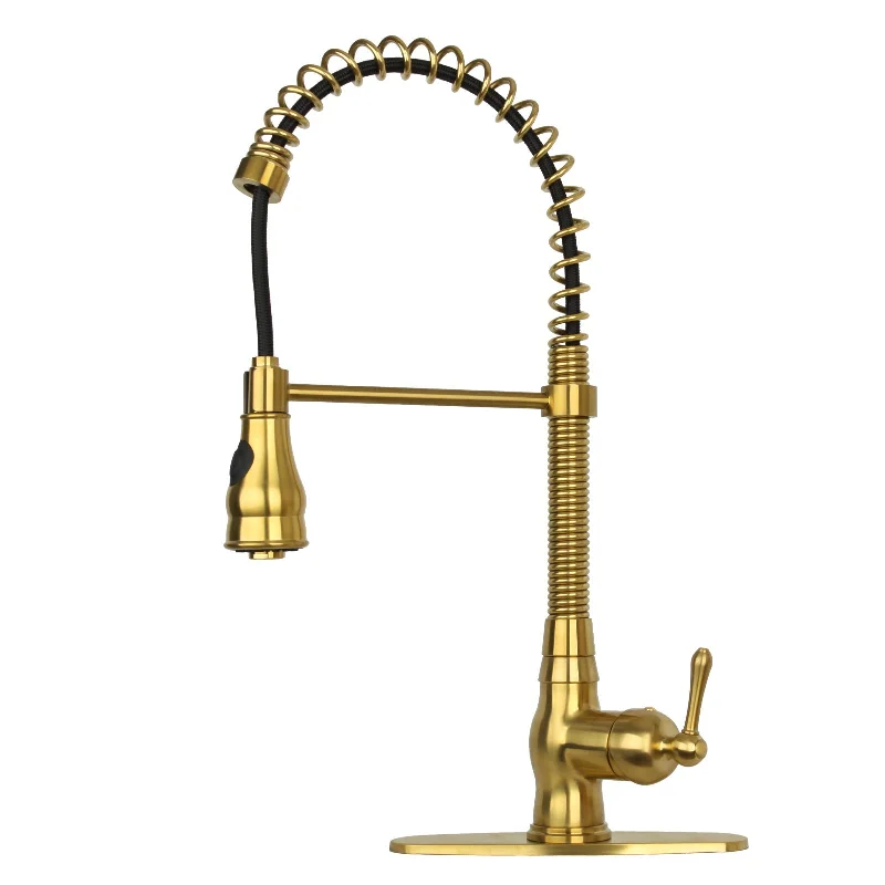 Brushed Gold Pre-Rinse Spring Kitchen Faucet, Single Level Solid Brass Kitchen Sink Faucets with Pull Down Sprayer - AK96518A-BTG