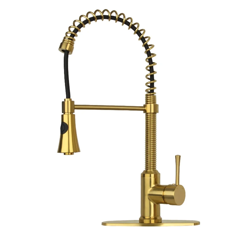 Brushed Gold Pre-Rinse Spring Kitchen Faucet, Single Level Solid Brass Kitchen Sink Faucets with Pull Down Sprayer - AK96565BTG