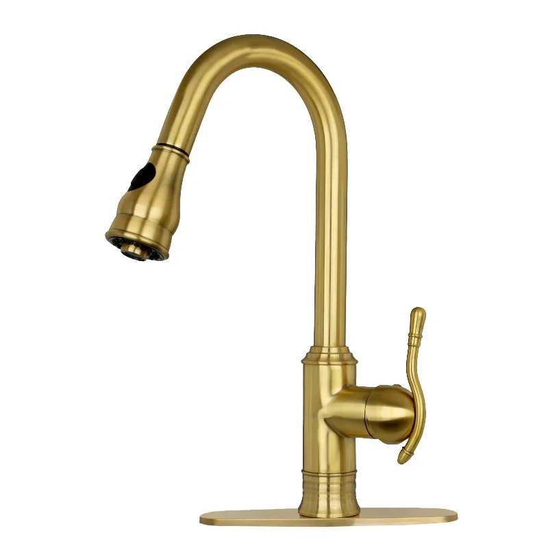 Brushed Gold Pull Out Kitchen Faucet, Single Level Solid Brass Kitchen Sink Faucets with Pull Down Sprayer - AK96415-D-BTG