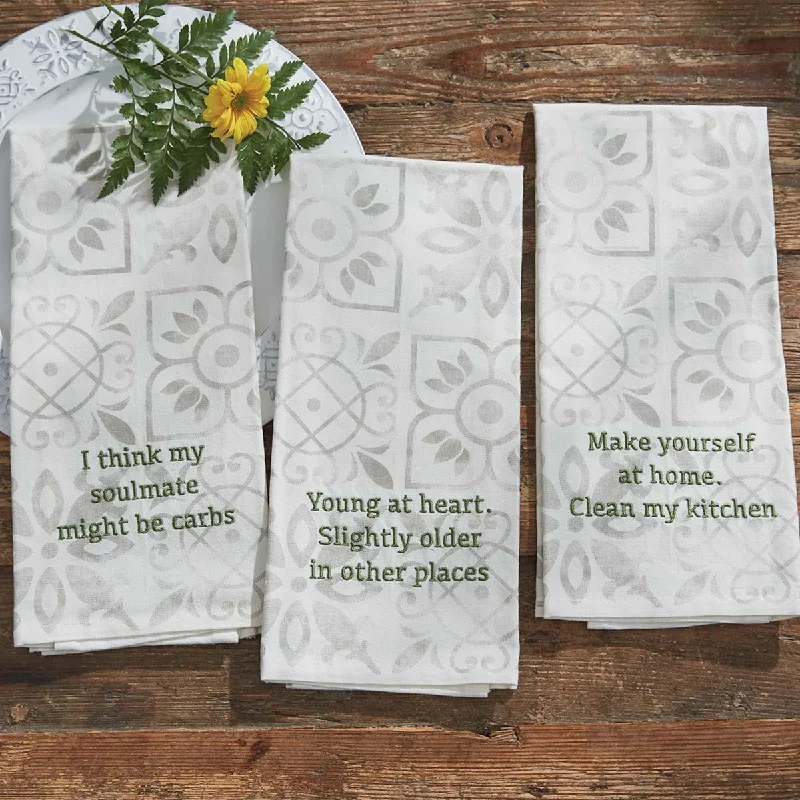 Clean My Kitchen Dishtowel - Set of 2 Park Designs