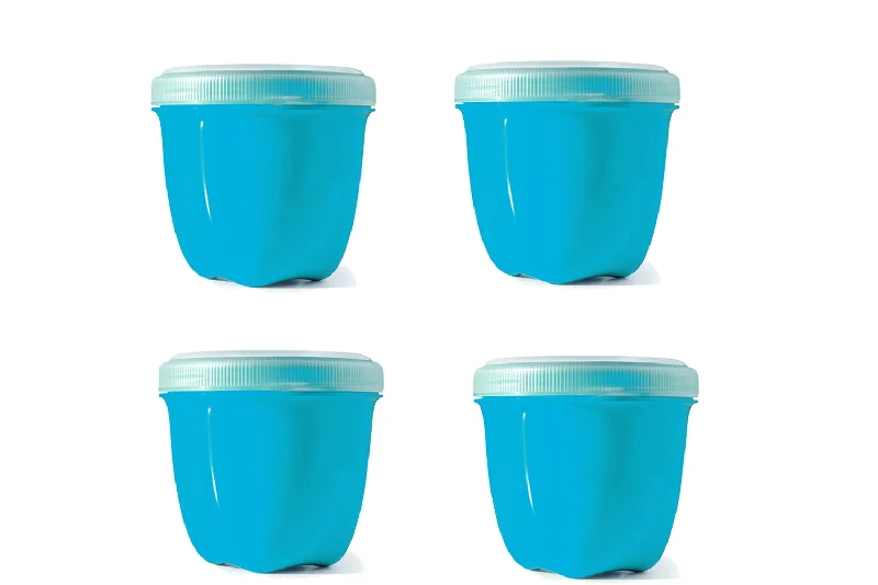 Food Storage Container | Mini | Set of 4 | Without Packaging