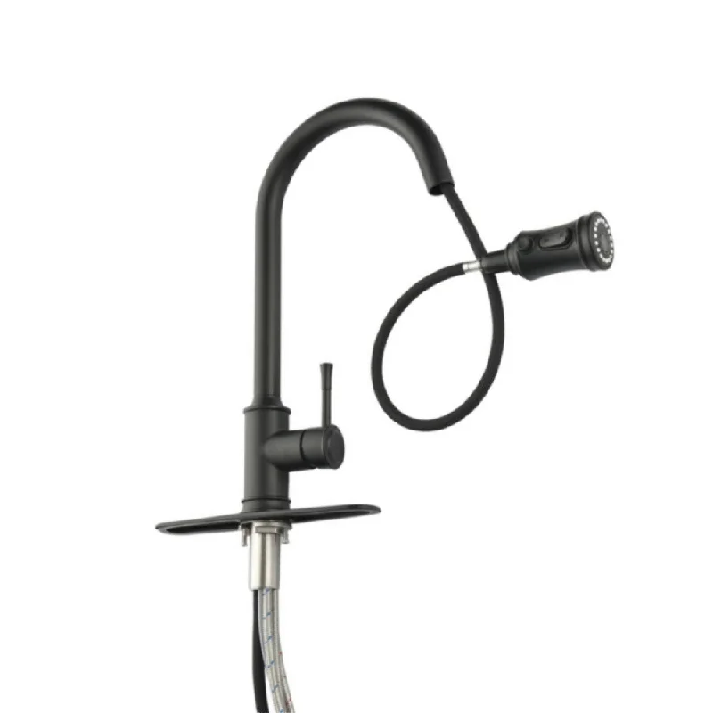 High Arc Single Handle Pull Out Kitchen Faucet Stainless Steel with Pull Down Sprayer - Matt Black