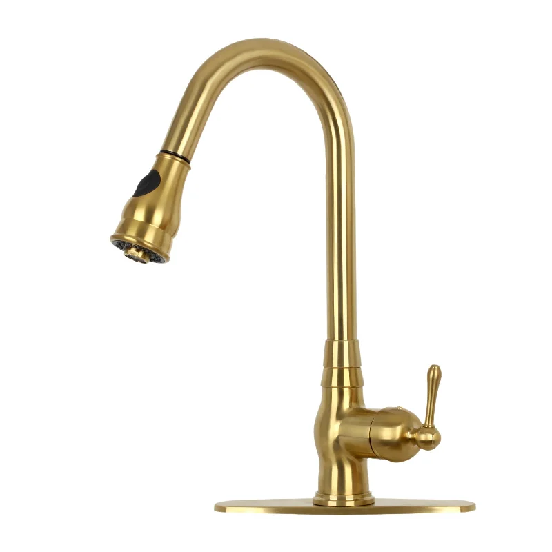 Pull Out Kitchen Faucet with Deck Plate, Single Level Solid Brass Kitchen Sink Faucets with Pull Down Sprayer-AK96418-D-BTG