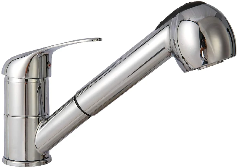 Pull Out Sprayer Single Hole Kitchen Sink Faucet, Single Handle Stainless Steel Tap for Bathroom Rv Wet Bar Sinks, Chrome